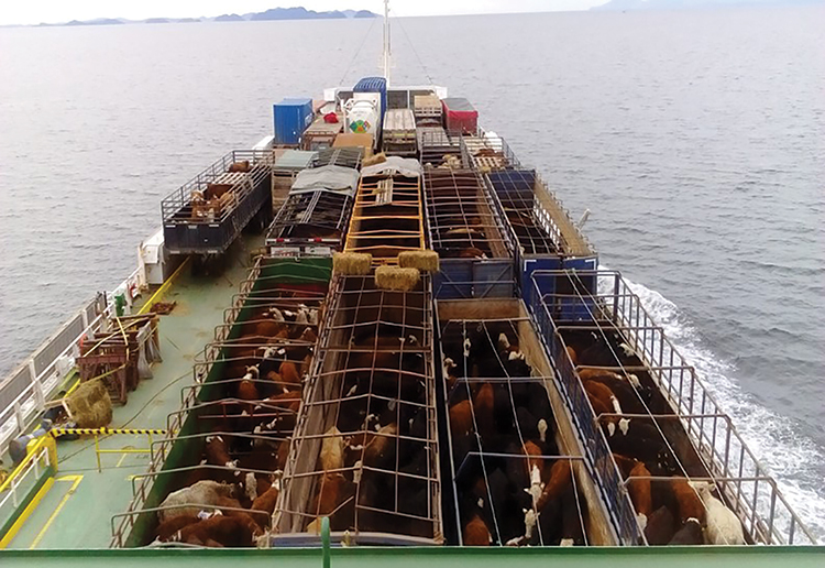 Livestock Transportation Services Australia