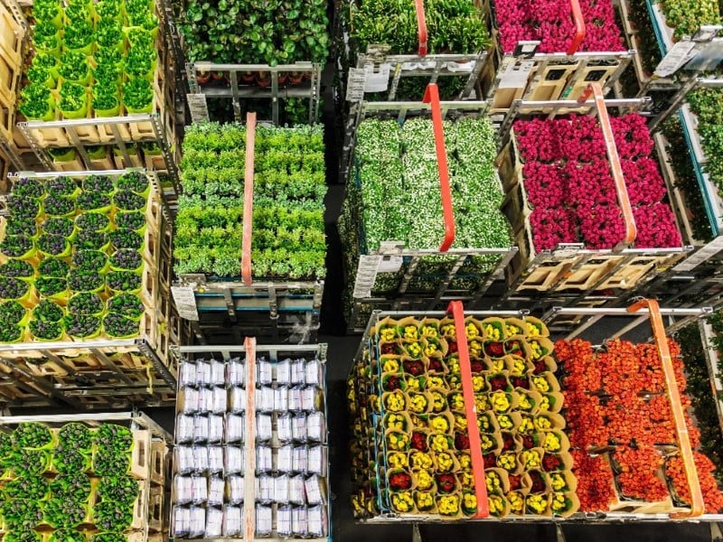 Perishable Freight Transportation Australia