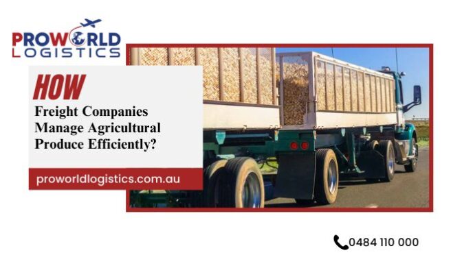 How Freight Companies Manage Agricultural Produce Efficiently?