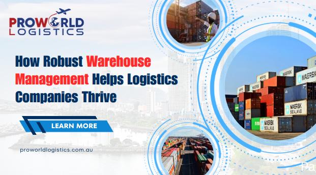 How Robust Warehouse Management Helps Logistics Companies Thrive