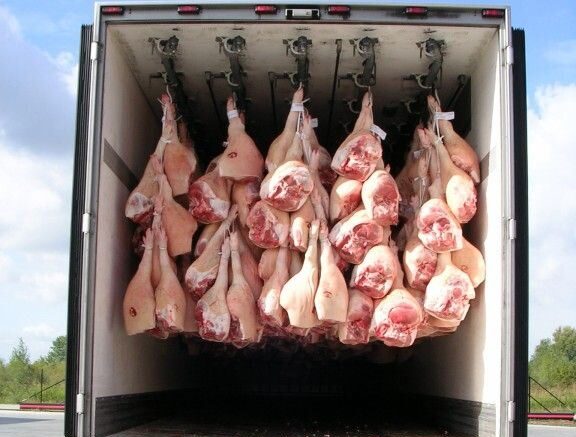 Australia-Wide Meat Export & Logistics Services