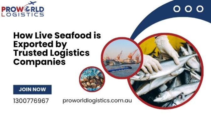 How Live Seafood Is Exported by Trusted Logistics Companies