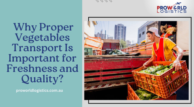 Why Proper Vegetables Transport Is Important for Freshness and Quality?